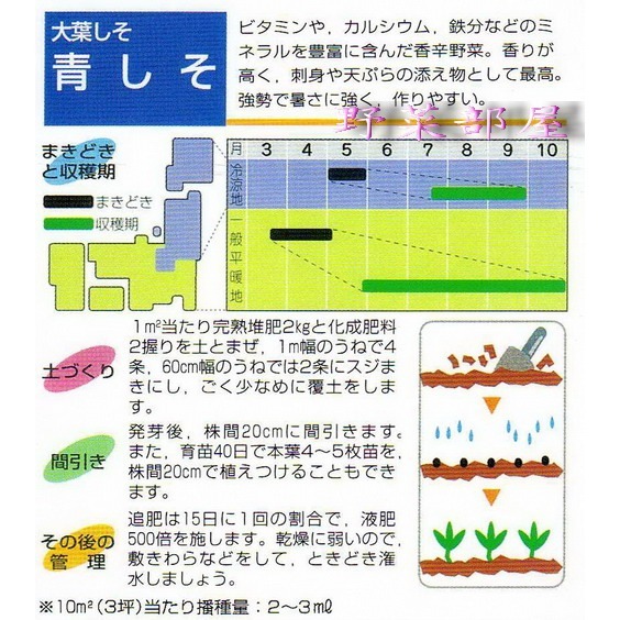 【萌田種子~】O04 日本青紫蘇種子0.8公克(約500粒) , 呈濃青綠色~-細節圖2