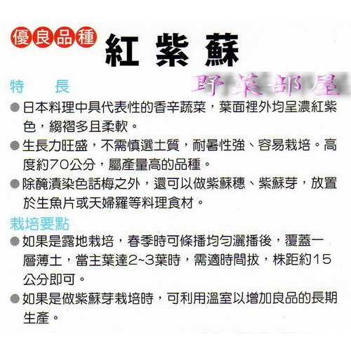 【萌田種子~】O05日本紅紫蘇種子0.65公克(約500粒) , 氣味溫和~-細節圖2