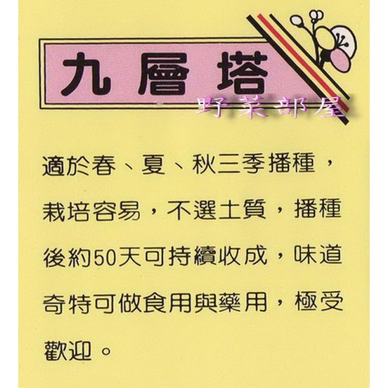 【萌田種子~】O06白九層塔種子1.1公克(約800粒) , 白梗品種~-細節圖2