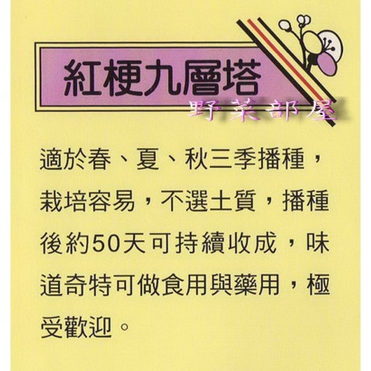 【萌田種子~】O07紅九層塔種子1公克 (約800粒), 紅梗品種~-細節圖2