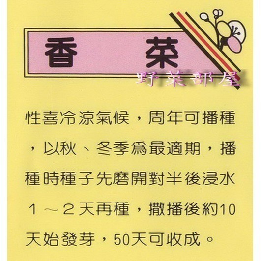 【萌田種子~】O09 泰國耐熱香菜種子14公克(約1400粒) ,泰國進口種子 ,耐熱品種 ~-細節圖2