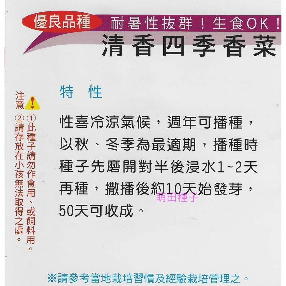 【萌田種子~】O09 泰國耐熱香菜種子14公克(約1400粒) ,泰國進口種子 ,耐熱品種 ~-細節圖3