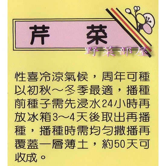 【萌田種子~】P01 白骨芹菜種子7公克(約17000粒) , 品質優 , 香味濃~-細節圖2