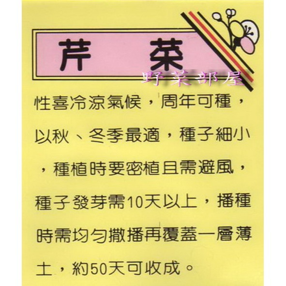 【萌田種子~】P02 青種芹菜種子6公克(約15000粒) , 品質優 , 香味濃~-細節圖2