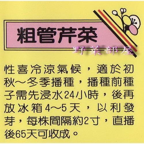 【萌田種子~】P03 芹菜管種子4公克(約10000 粒) , 又稱~粗管芹菜~-細節圖2
