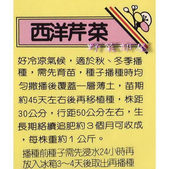 【萌田種子~】P04美國西洋芹菜種子0.8公克 (約2500粒), 營養價值高 ~-細節圖2