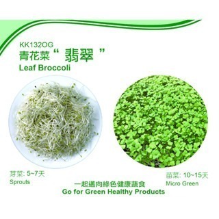 【萌田種子~】Q06 青花菜芽菜種子10公克(約3000粒) , 綠花椰菜種子 , 富含豐富花青素~-細節圖2
