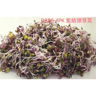【萌田種子~】Q11 紫結頭芽菜種子6公克(約2200粒) ,紫晶品種 , 生長快速 ,口感柔嫩滑順~-細節圖2