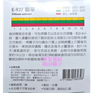 【萌田種子~】Q14 貓草Cat Grass~小麥草種子 ,穗耕種苗~天星牌原包裝種子~-細節圖2