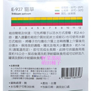 【萌田種子~】Q14 貓草Cat Grass~小麥草種子 ,穗耕種苗~天星牌原包裝種子~-細節圖2