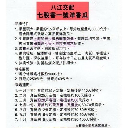【萌田種子~】R07 七股香洋香瓜種子1粒 , 果型大 , 糖度高 , 果肉橙紅~-細節圖2