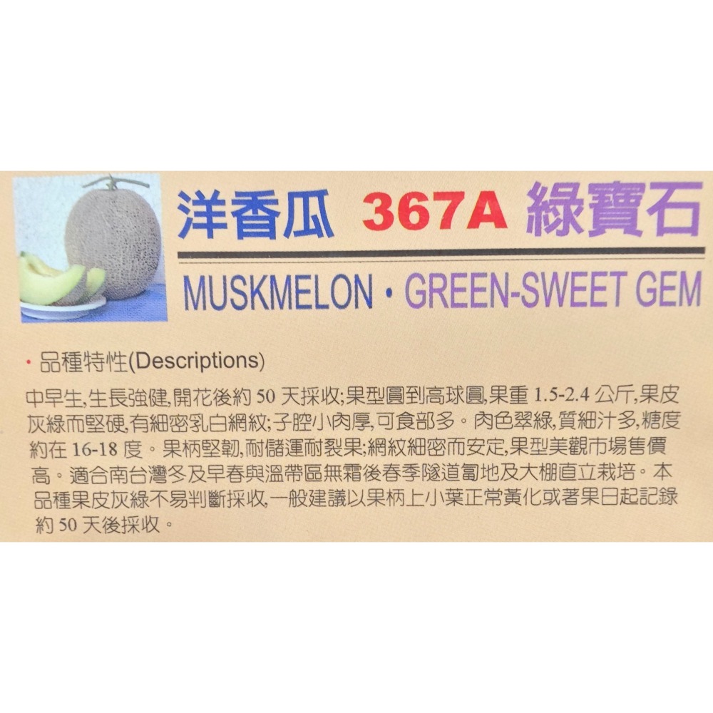 【萌田種子~】R12 綠寶石洋香瓜種子1粒 糖度高 果肉翠綠 網紋洋香瓜  綠肉洋香瓜 生長強健~-細節圖2