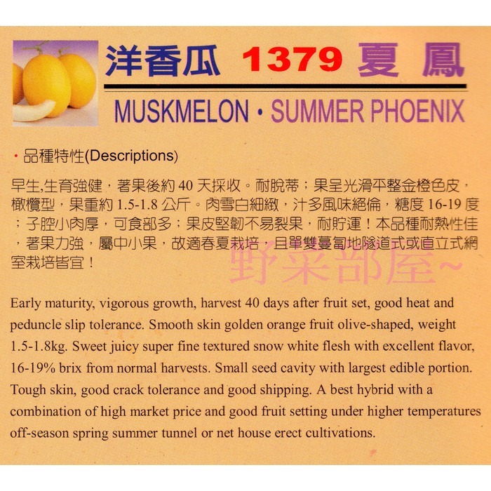 【萌田種子~】R19 夏鳳洋香瓜種子1粒 , 早生品種 , 甜度高 ~-細節圖2