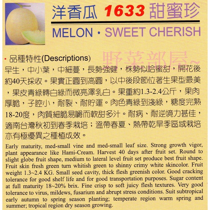 【萌田種子~】R20 甜蜜珍洋香瓜種子 1粒 , 早生品種 , 可反季節種植 ~-細節圖2