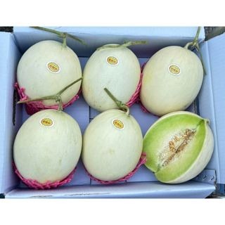 【萌田種子~】R20 甜蜜珍洋香瓜種子 1粒 , 早生品種 , 可反季節種植 ~-細節圖4