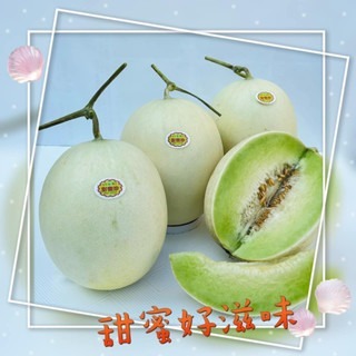 【萌田種子~】R20 甜蜜珍洋香瓜種子 1粒 , 早生品種 , 可反季節種植 ~-細節圖5