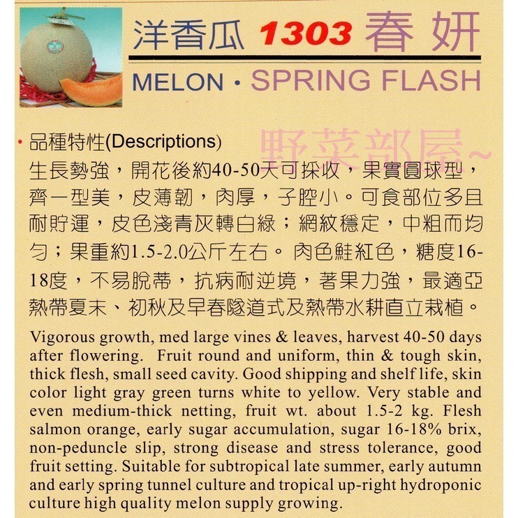 【萌田種子~】R21 春妍洋香瓜種子1粒 , 知名品種 , 皮薄肉厚 ~-細節圖2