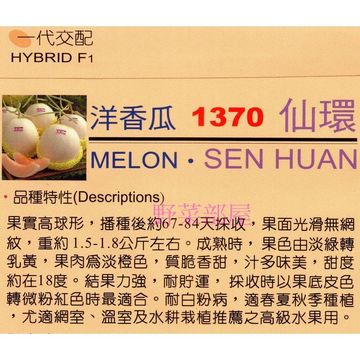 【萌田種子~】R23 仙環洋香瓜種子1粒 , 甜度高 , 結果力強 ~-細節圖2