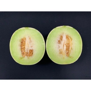 【萌田種子~】R33 斑比洋香瓜(綠肉)種子1粒 , 具特殊斑紋 , 甜度高~-細節圖2