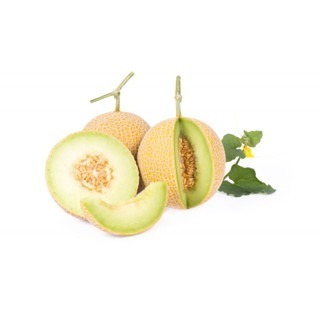 【萌田種子~】R34 旺仔洋香瓜(綠肉)種子1粒 , 耐病 , 果實硬度佳~-細節圖2