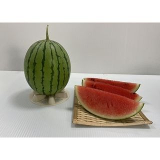 【萌田種子~】R38 小虎迷你西瓜種子1粒 , 果重1.1~1.3公斤~-細節圖3