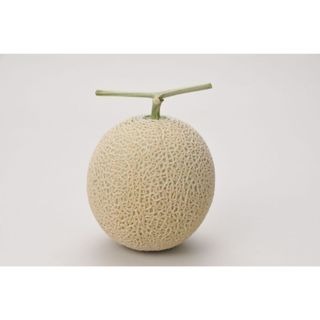 【萌田種子~】R40 格雷西亞洋香瓜種子1粒 , 阿露斯品種 , 夏季品種~-細節圖4