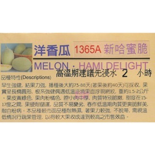 【萌田種子~】R41 新哈蜜脆洋香瓜種子1粒 , 肉質脆嫩 , 結果力強~-細節圖2