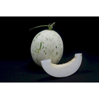 【萌田種子~】R44 斑比洋香瓜(白肉)種子1粒 , 具特殊斑紋 , 甜度高 ~-細節圖2