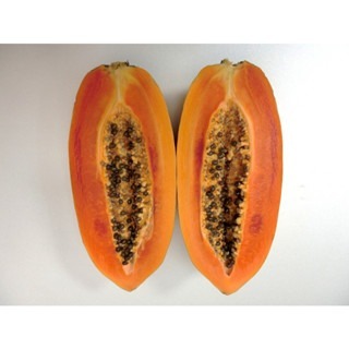 【萌田種子~】R46 紅福木瓜種子2粒 , 兩性株 , 耐病早生 , 紅莖 , 結果力強~-細節圖5