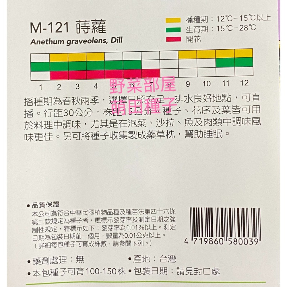 【萌田種子~】S02 蒔蘿Dill~穗耕種苗~天星牌原包裝種子~-細節圖2