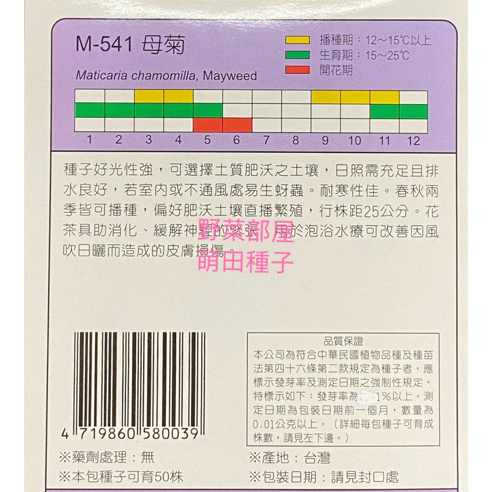 【萌田種子~】S06 母菊Chamomile Mayweed~德國洋甘菊~天星牌原包裝種子~-細節圖2