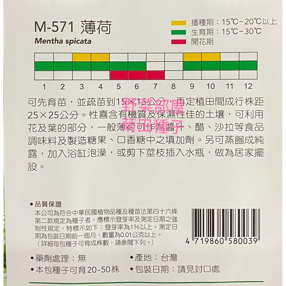 【萌田種子~】S08 薄荷 Peppermint , 天星牌原包裝種子~-細節圖2