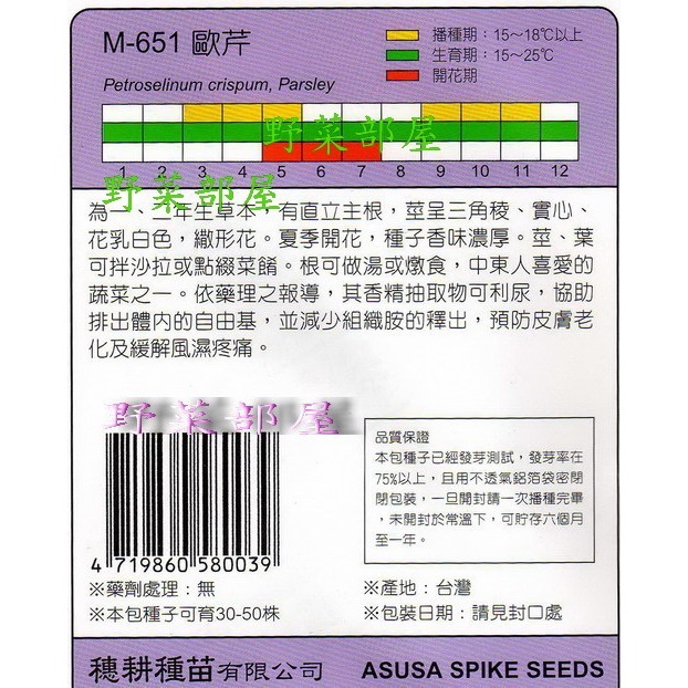 【萌田種子~】S12 歐芹Parsley~穗耕種苗~天星牌原包裝種子~-細節圖2