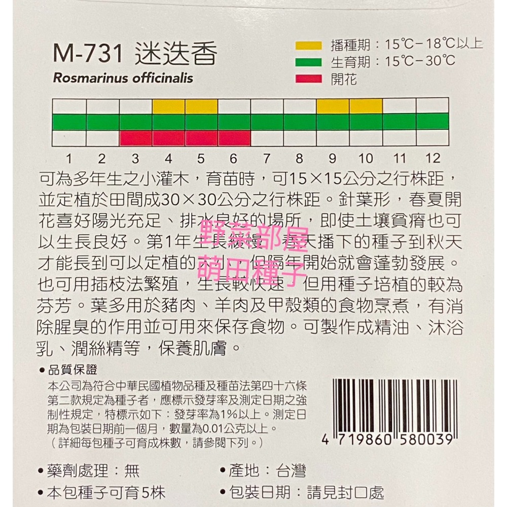 【萌田種子~】S13 迷迭香Rosemary~穗耕種苗~天星牌原包裝種子~-細節圖2