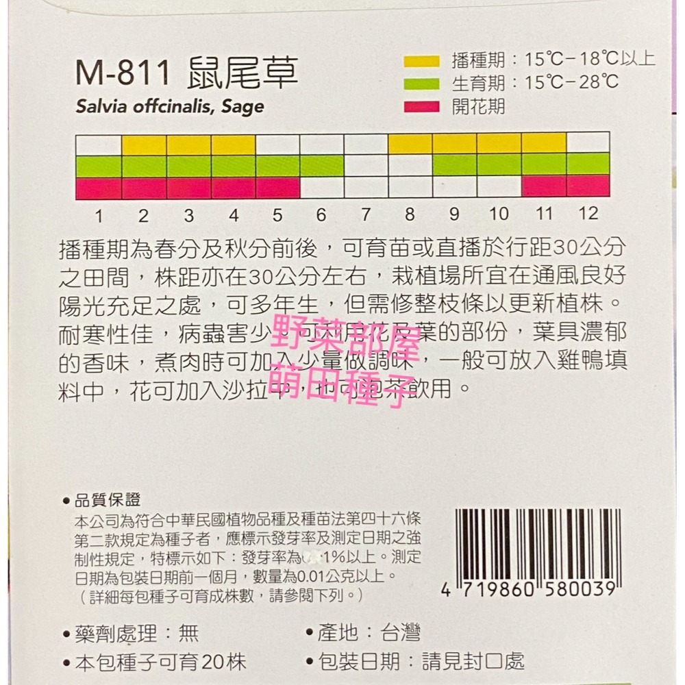 【萌田種子~】S14 鼠尾草Sage~穗耕種苗~天星牌種子~-細節圖2