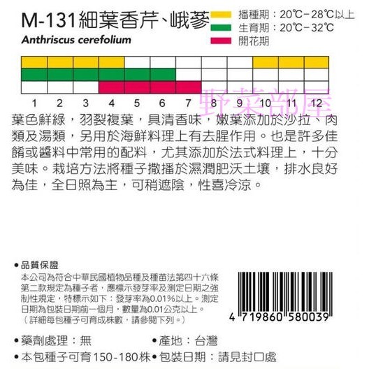 【萌田種子~】S20 細葉香芹Chervil, 峨蔘~穗耕種苗~天星牌原包裝種子~-細節圖2