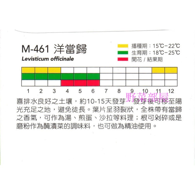 【萌田種子~】S21 洋當歸Lovage~穗耕種苗~天星牌原包裝種子~-細節圖2