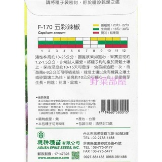 【萌田種子~】X01~五彩辣椒~穗耕種苗~天星牌原包裝種子~-細節圖2