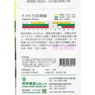 【萌田種子~】X01~五彩辣椒~穗耕種苗~天星牌原包裝種子~-細節圖2