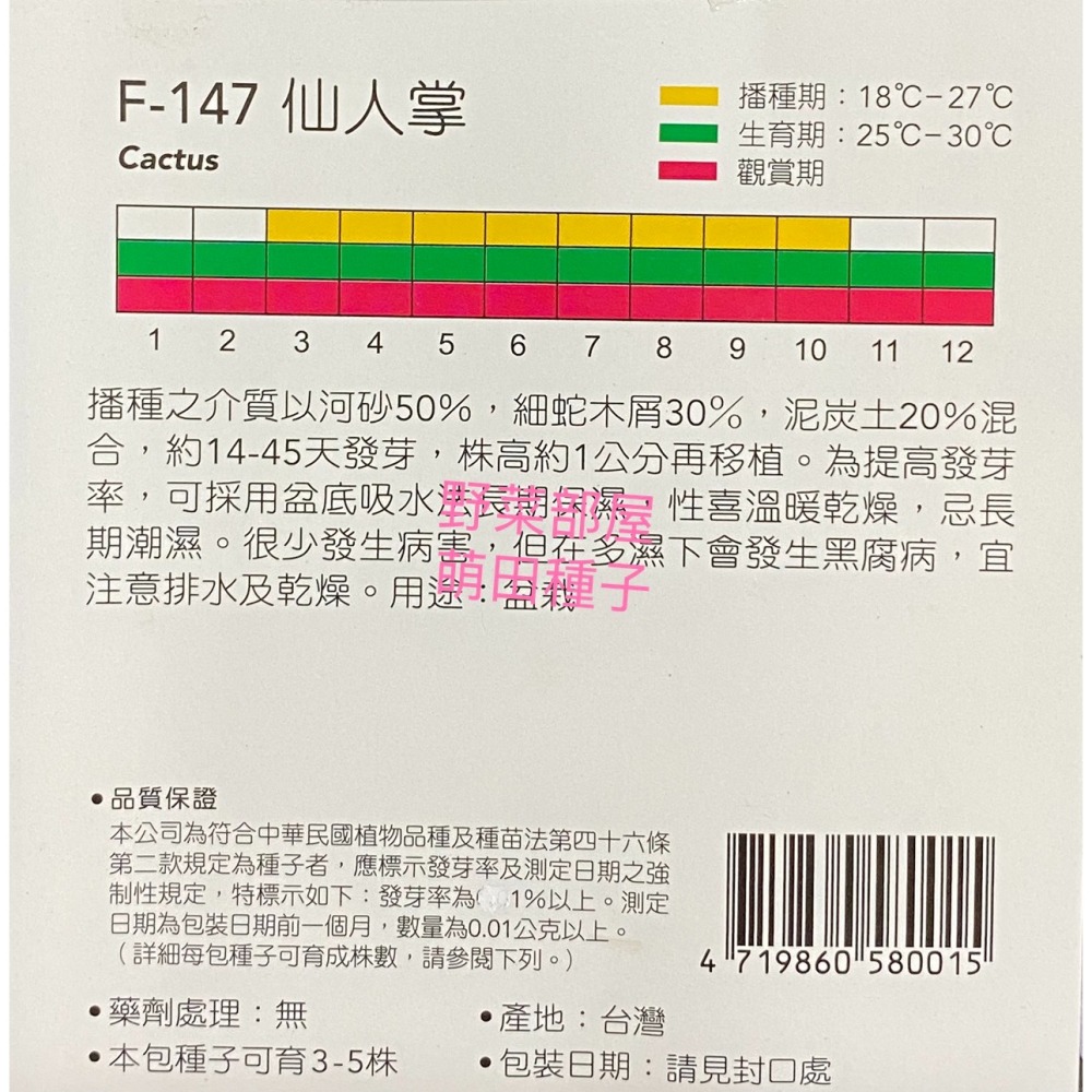 【萌田種子~】X03 仙人掌Cactus~天星牌原包裝種子~-細節圖2