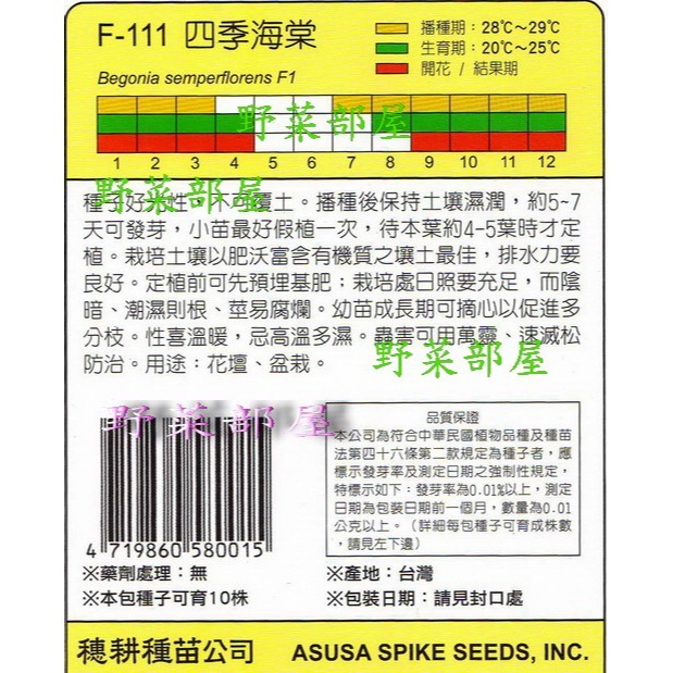 【萌田種子~】Y06 四季海棠Begonia Fibrous-rooted~穗耕種苗~天星牌種子~-細節圖2