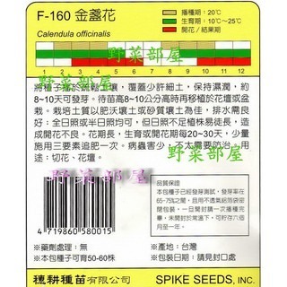 【萌田種子~】Y07 金盞花Calendula~穗耕種苗~天星牌原包裝種子~-細節圖2
