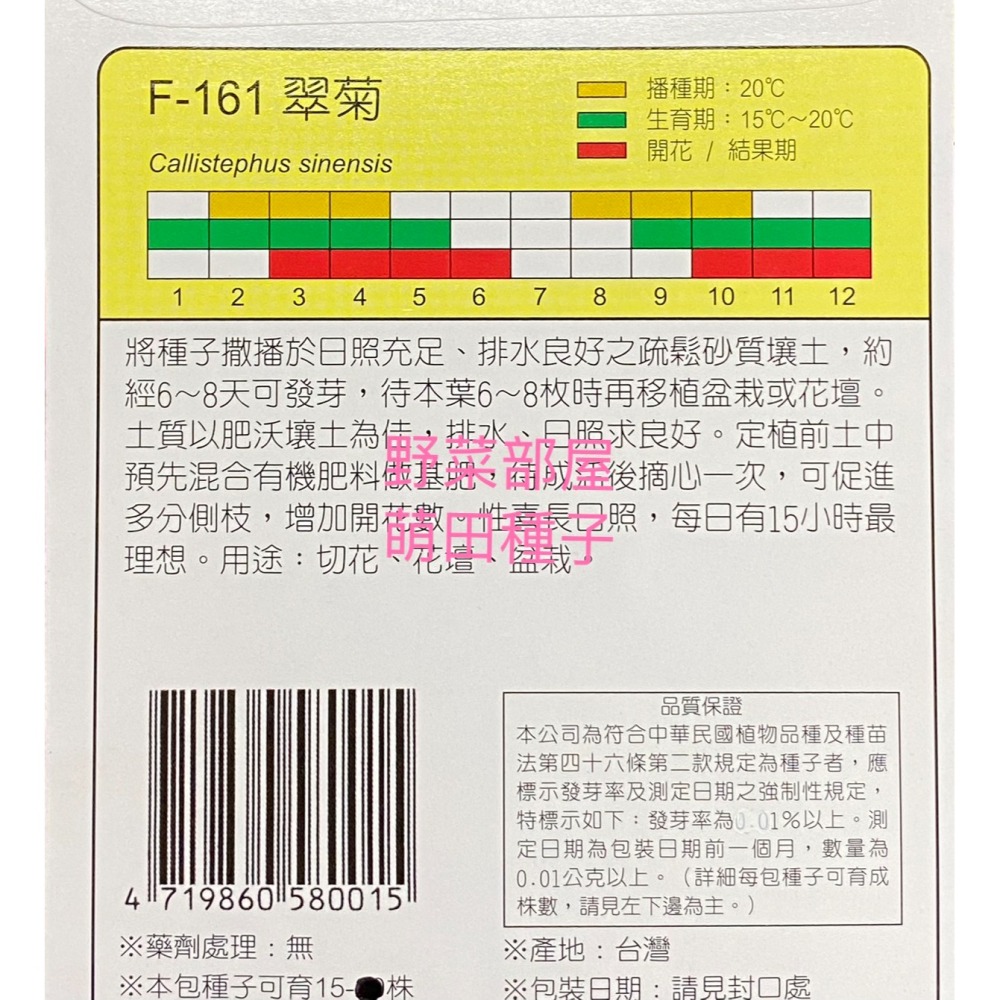 【萌田種子~】Y08 翠菊Aster~穗耕種苗~天星牌原包裝種子~-細節圖2