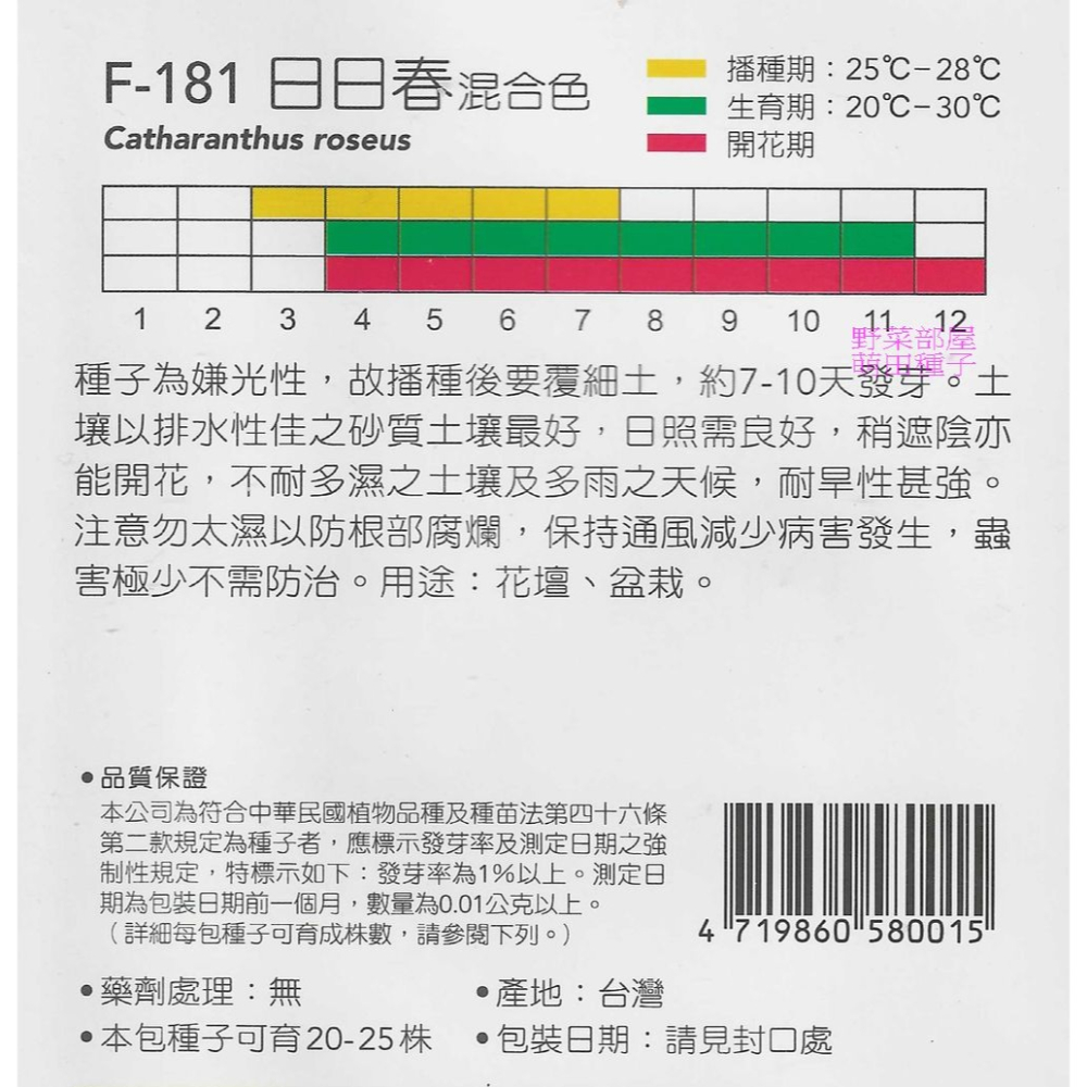 【萌田種子~】Y10 日日春混Vinca Mixed~穗耕種苗~天星牌原包裝種子~-細節圖2