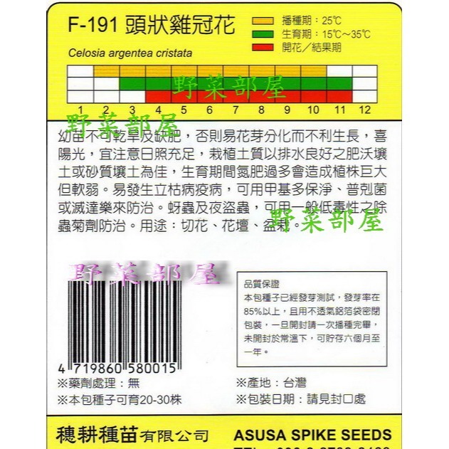 【萌田種子~】Y11 頭狀雞冠花Cockscomb Celosia~穗耕種苗~天星牌原包裝種子~-細節圖2