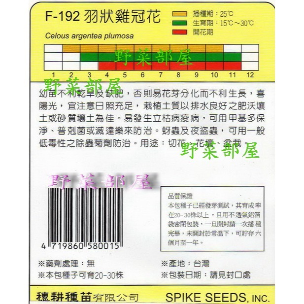 【萌田種子~】Y12 羽狀雞冠花Plume Celosia~穗耕種苗~天星牌原包裝種子~-細節圖2