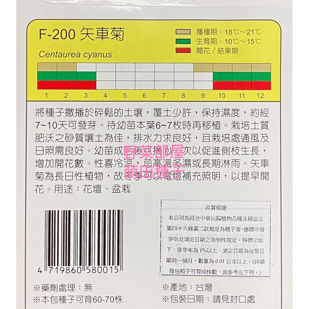 【萌田種子~】Y13 矢車菊Cornflower~穗耕種苗~天星牌原包裝種子~-細節圖2
