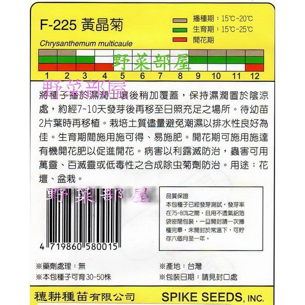 【萌田種子~】Y15 黃晶菊Yellow Buttons~穗耕種苗~天星牌原包裝種子~-細節圖2