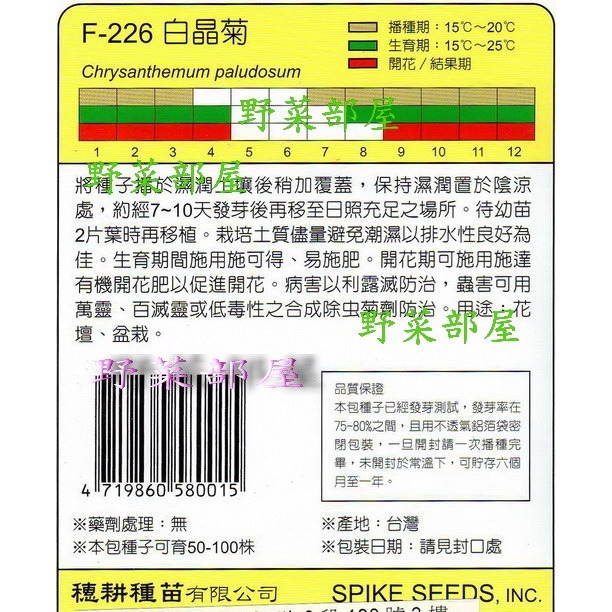 【萌田種子~】Y16 白晶菊White Buttons~穗耕種苗~天星牌原包裝種子~-細節圖2