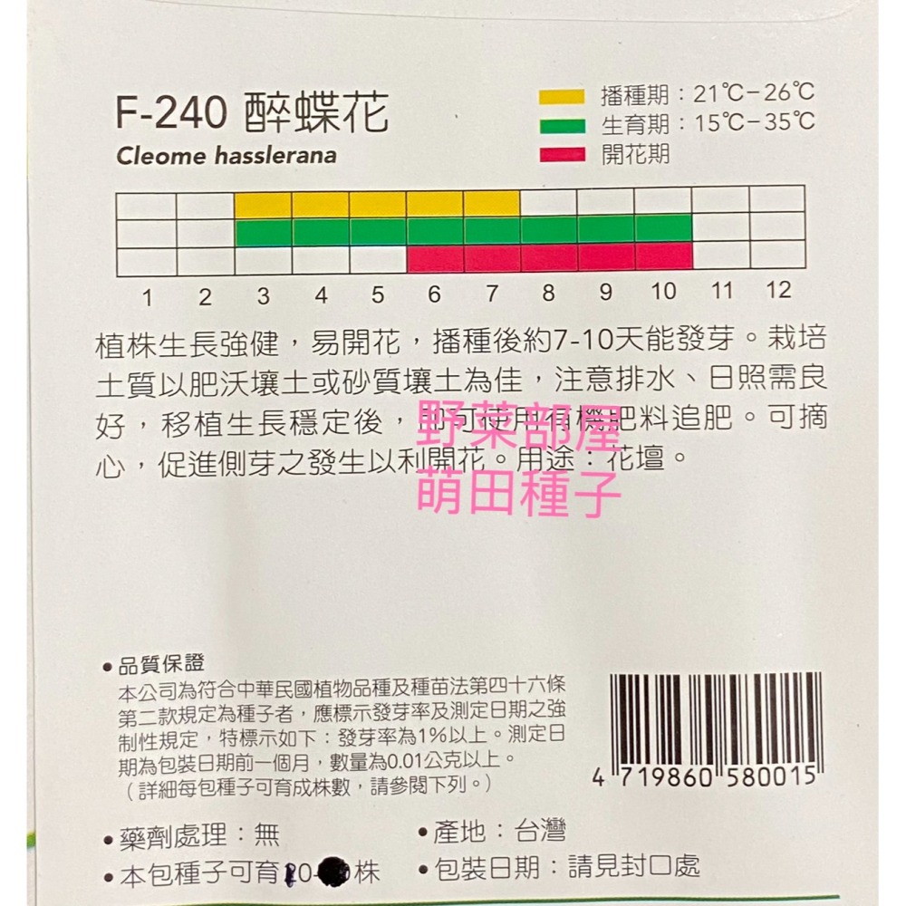 【萌田種子~】Y17 醉蝶花Cleome~穗耕種苗~天星牌原包裝種子~-細節圖2